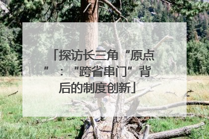 探访长三角“原点”：“跨省串门”背后的制度创新
