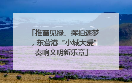 推窗见绿、挥拍逐梦，东营港“小城大爱”奏响文明新乐章