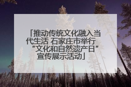 推动传统文化融入当代生活 石家庄市举行“文化和自然遗产日”宣传展示活动