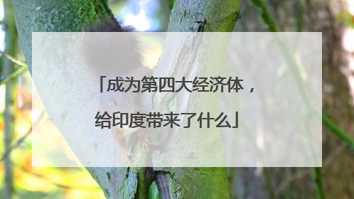 成为第四大经济体，给印度带来了什么