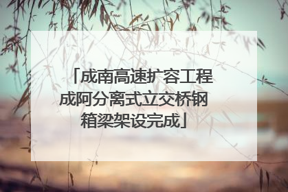成南高速扩容工程成阿分离式立交桥钢箱梁架设完成