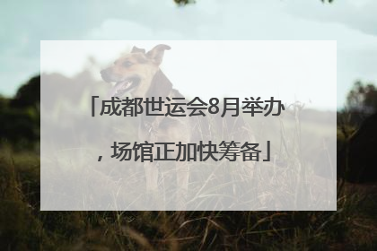 成都世运会8月举办，场馆正加快筹备