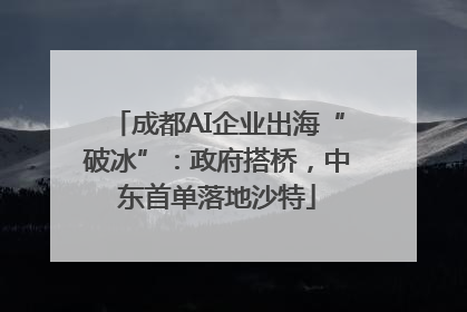 成都AI企业出海“破冰”：政府搭桥，中东首单落地沙特