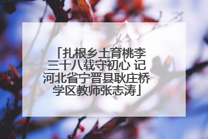 扎根乡土育桃李 三十八载守初心 记河北省宁晋县耿庄桥学区教师张志涛