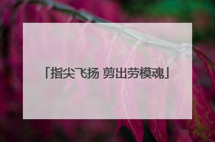 指尖飞扬 剪出劳模魂