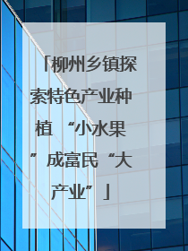 柳州乡镇探索特色产业种植 “小水果”成富民“大产业”