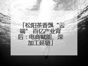 松阳茶香飘“云端” 百亿产业背后：电商赋能、深加工延链