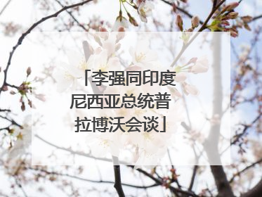 李强同印度尼西亚总统普拉博沃会谈