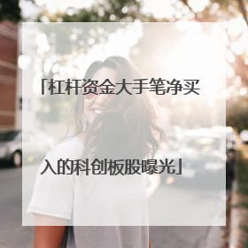 杠杆资金大手笔净买入的科创板股曝光