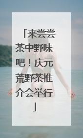 来尝尝茶中野味吧！庆元荒野茶推介会举行