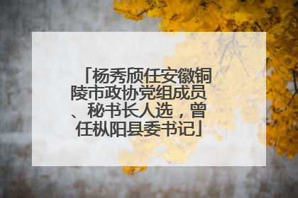 杨秀颀任安徽铜陵市政协党组成员、秘书长人选，曾任枞阳县委书记