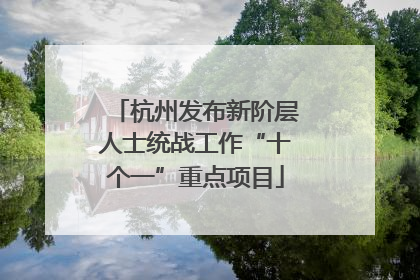 杭州发布新阶层人士统战工作“十个一”重点项目
