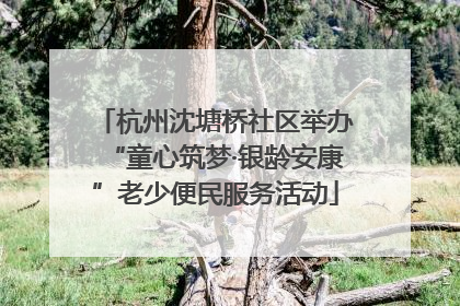 杭州沈塘桥社区举办“童心筑梦·银龄安康”老少便民服务活动