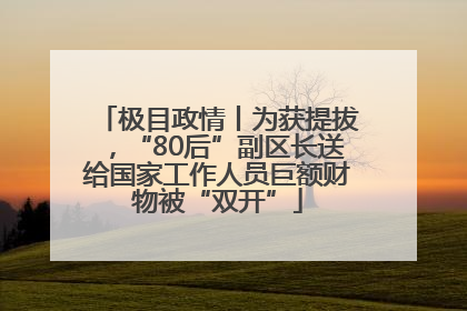 极目政情丨为获提拔，“80后”副区长送给国家工作人员巨额财物被“双开”