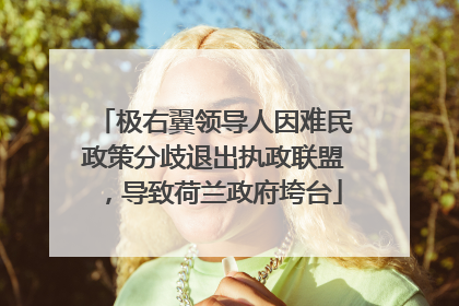 极右翼领导人因难民政策分歧退出执政联盟，导致荷兰政府垮台