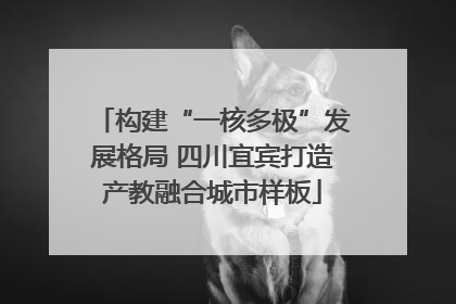 构建“一核多极”发展格局 四川宜宾打造产教融合城市样板