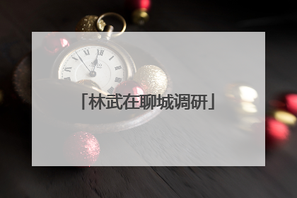 林武在聊城调研