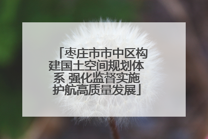 枣庄市市中区构建国土空间规划体系 强化监督实施护航高质量发展