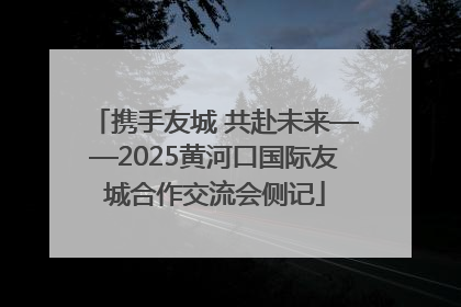 携手友城 共赴未来——2025黄河口国际友城合作交流会侧记