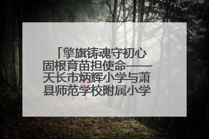 擎旗铸魂守初心 固根育苗担使命——天长市炳辉小学与萧县师范学校附属小学结对共建活动纪实