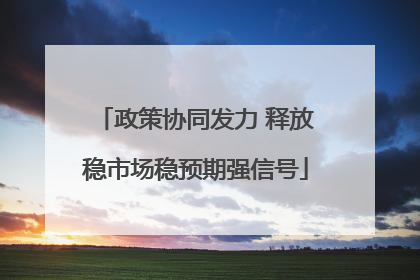 政策协同发力 释放稳市场稳预期强信号