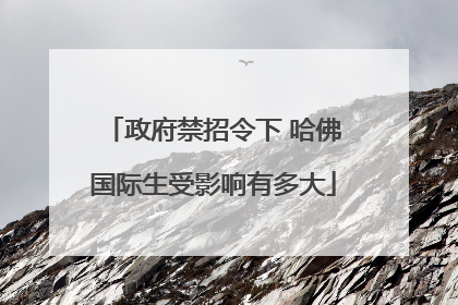 政府禁招令下 哈佛国际生受影响有多大