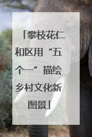 攀枝花仁和区用“五个一”描绘乡村文化新图景