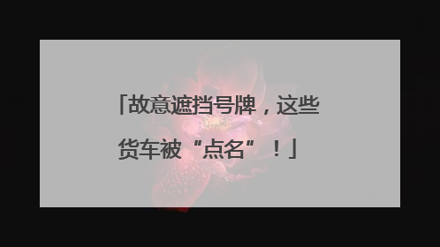 故意遮挡号牌，这些货车被“点名”！