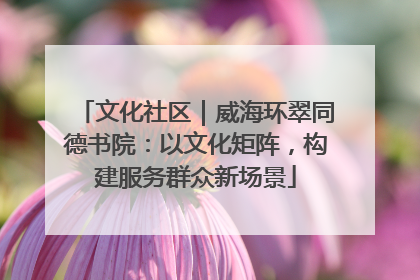 文化社区｜威海环翠同德书院：以文化矩阵，构建服务群众新场景