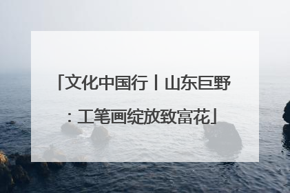 文化中国行丨山东巨野：工笔画绽放致富花