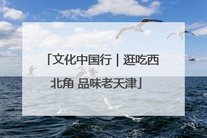 文化中国行｜逛吃西北角 品味老天津