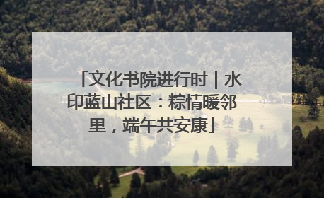 文化书院进行时｜水印蓝山社区：粽情暖邻里，端午共安康