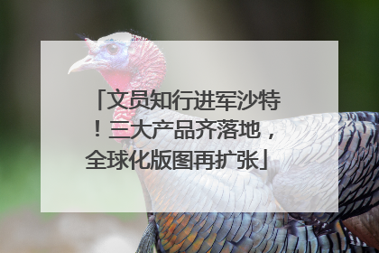 文员知行进军沙特！三大产品齐落地，全球化版图再扩张