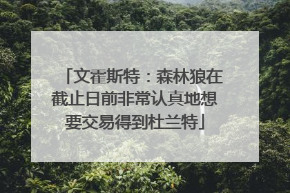 文霍斯特：森林狼在截止日前非常认真地想要交易得到杜兰特