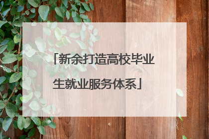 新余打造高校毕业生就业服务体系