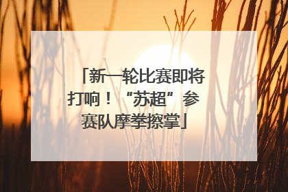 新一轮比赛即将打响！“苏超”参赛队摩拳擦掌