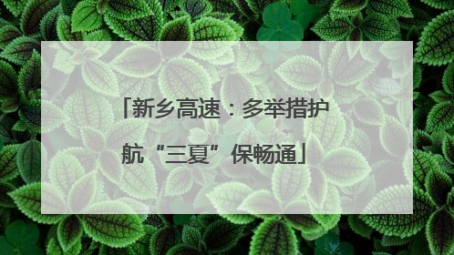 新乡高速：多举措护航“三夏”保畅通