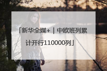 新华全媒+｜中欧班列累计开行110000列