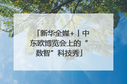 新华全媒+丨中东欧博览会上的“数智”科技秀