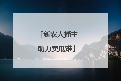 新农人播主 助力卖瓜难