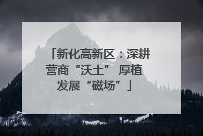 新化高新区：深耕营商“沃土” 厚植发展“磁场”
