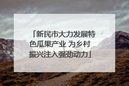 新民市大力发展特色瓜果产业 为乡村振兴注入强劲动力