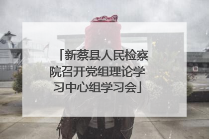 新蔡县人民检察院召开党组理论学习中心组学习会
