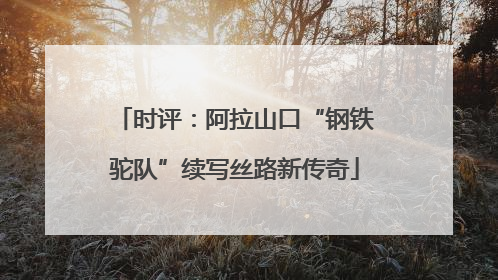 时评：阿拉山口“钢铁驼队”续写丝路新传奇