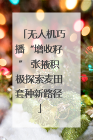 无人机巧播“增收籽” 张掖积极探索麦田套种新路径