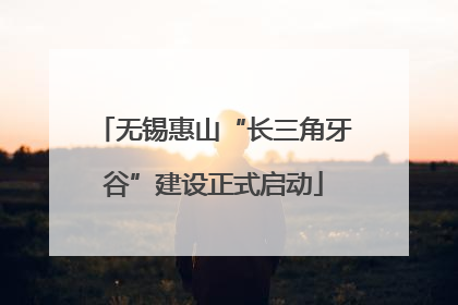 无锡惠山“长三角牙谷”建设正式启动