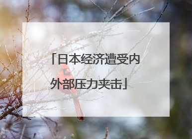 日本经济遭受内外部压力夹击