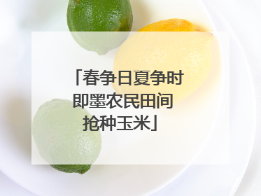 春争日夏争时 即墨农民田间抢种玉米