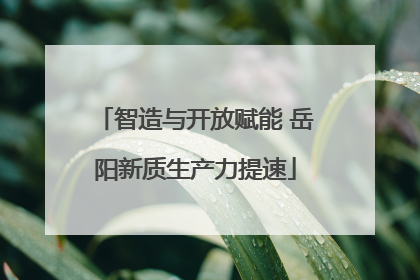 智造与开放赋能 岳阳新质生产力提速
