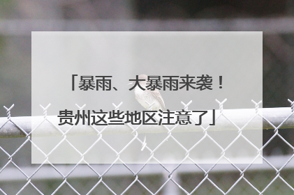 暴雨、大暴雨来袭！贵州这些地区注意了